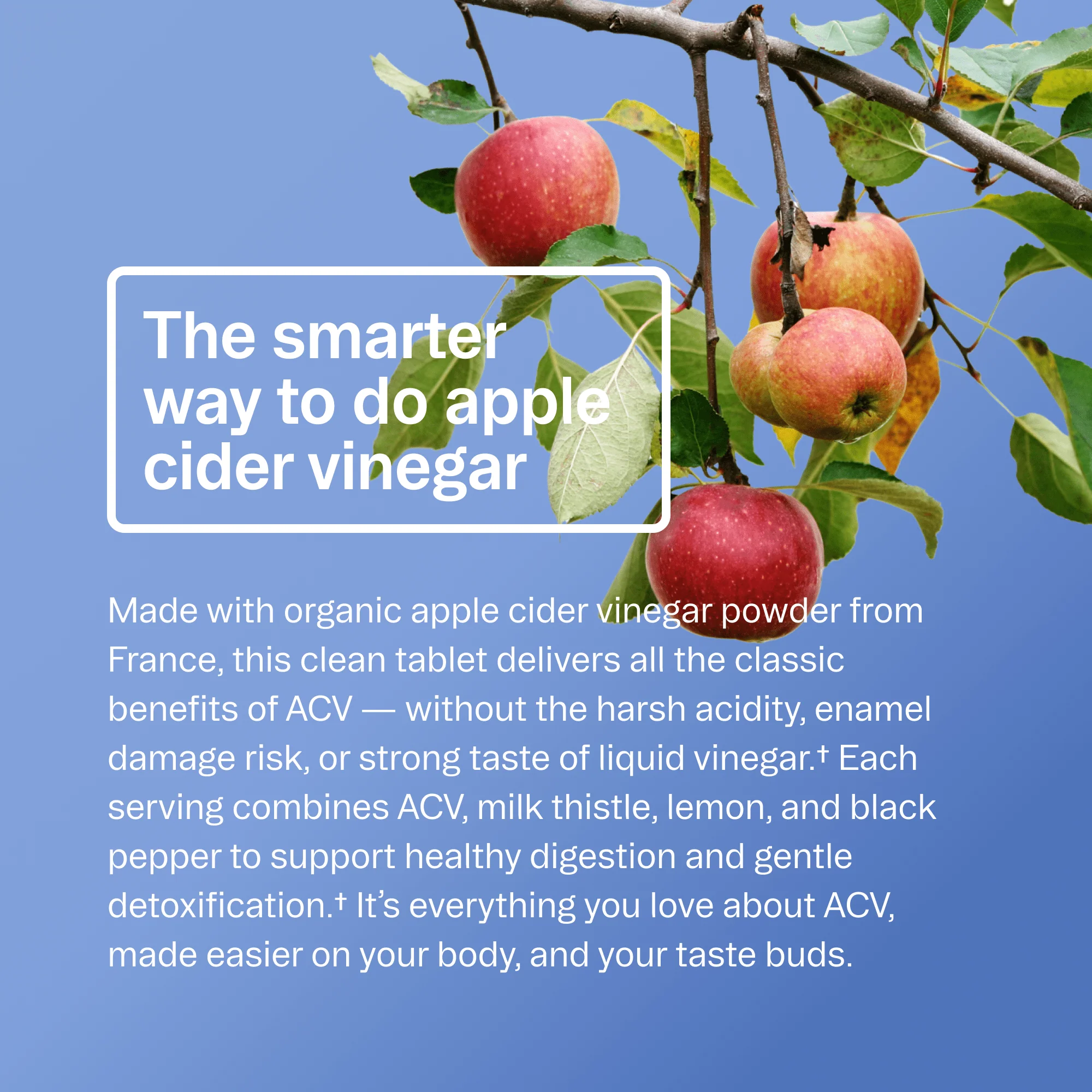 Appley Ever After | ACV Tablets - Image 5
