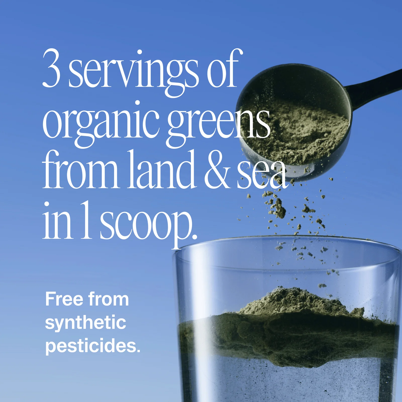 Easy Being Green | Superfood Greens Powder - Image 4