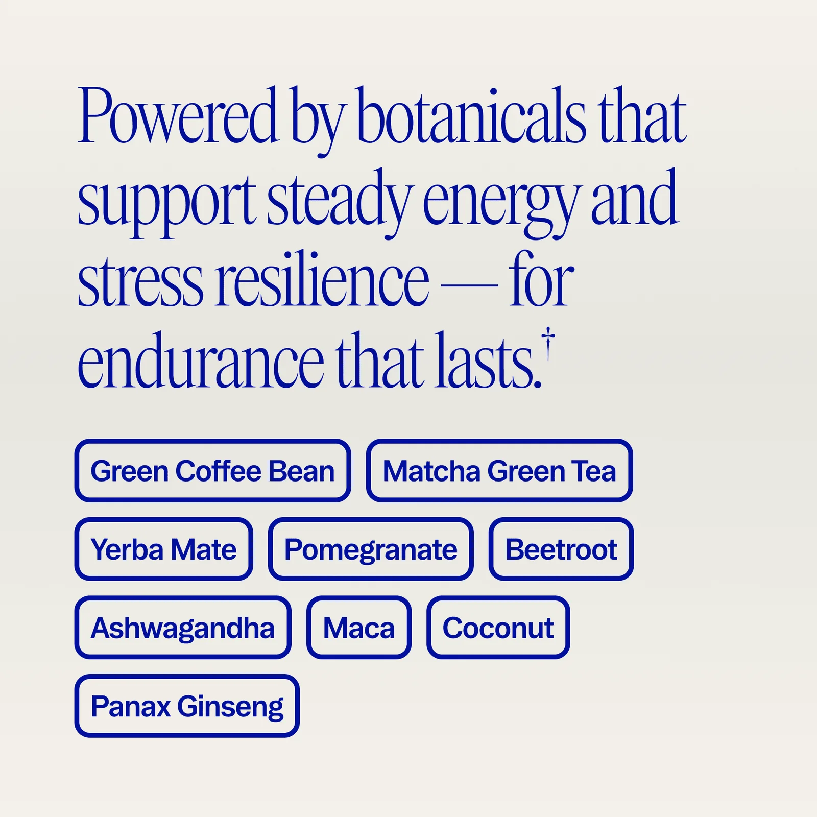 Renewable Energy Pre-Workout Powder | Beet & Pomegranate - Image 4