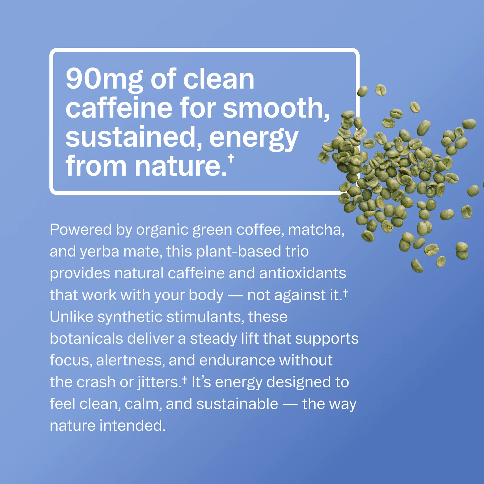 Renewable Energy Pre-Workout Powder | Beet & Pomegranate - Image 6