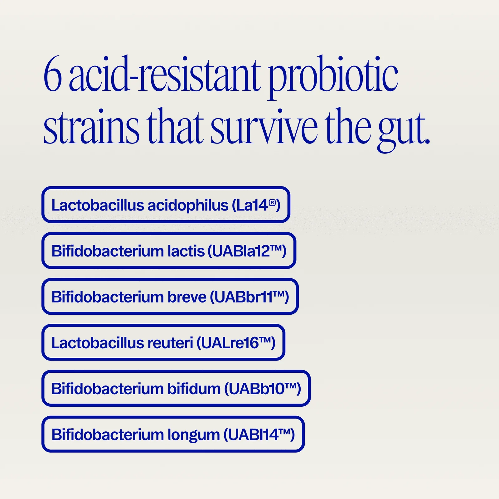 Trust Your Gut | Probiotic Capsules - Image 5