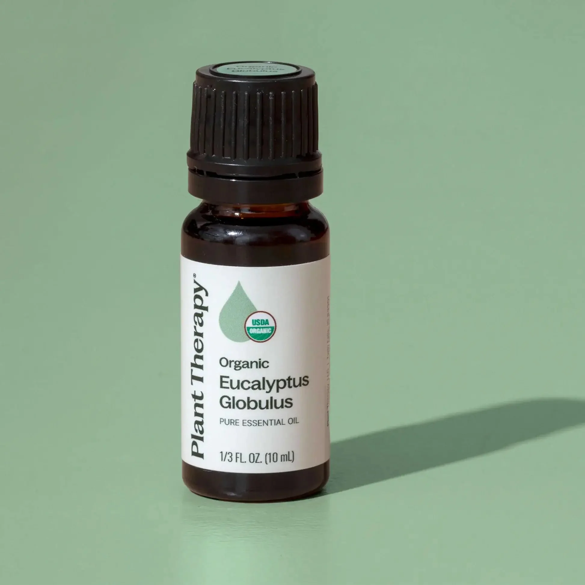 Organic Eucalyptus Globulus Essential Oil - Image 2