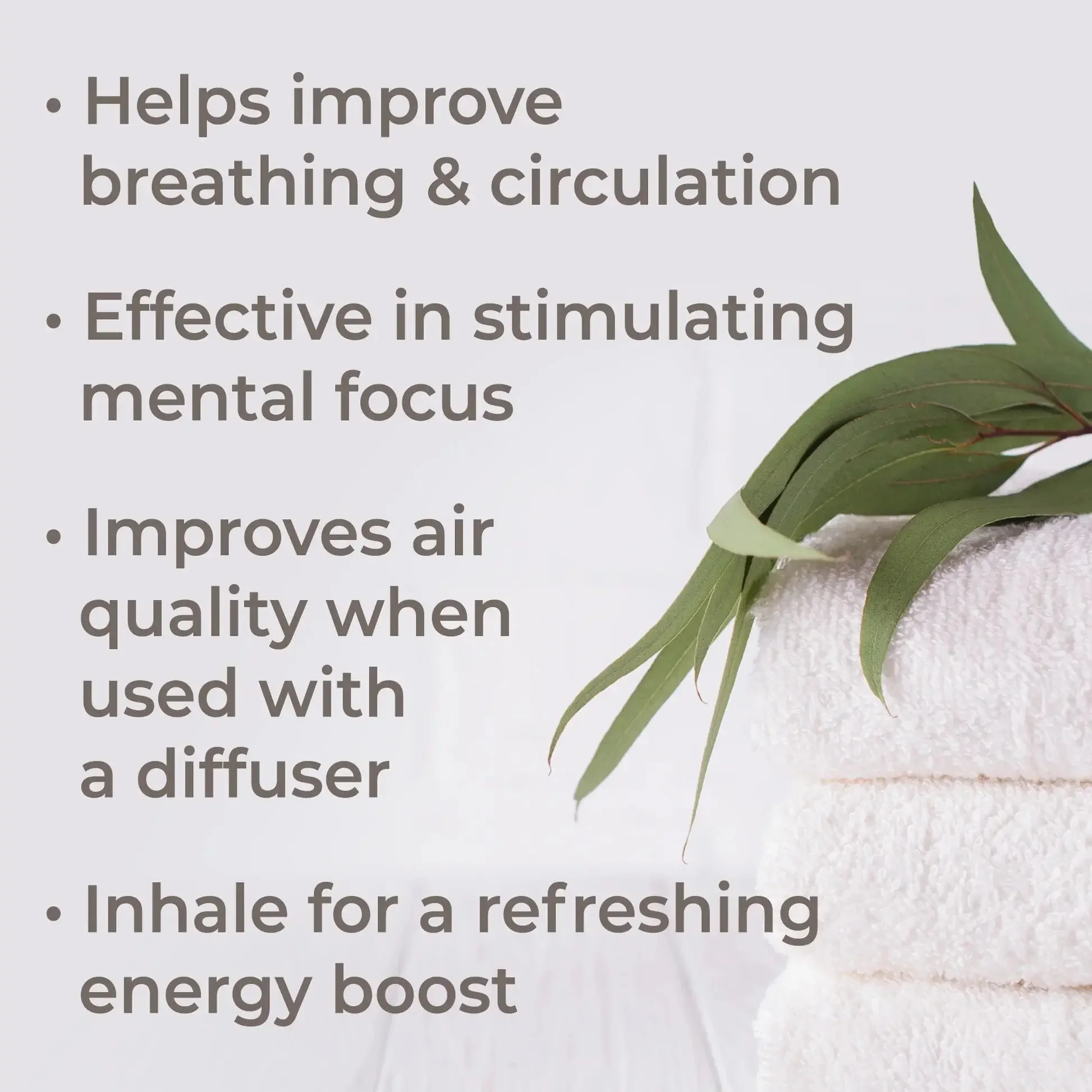 Organic Eucalyptus Globulus Essential Oil - Image 6