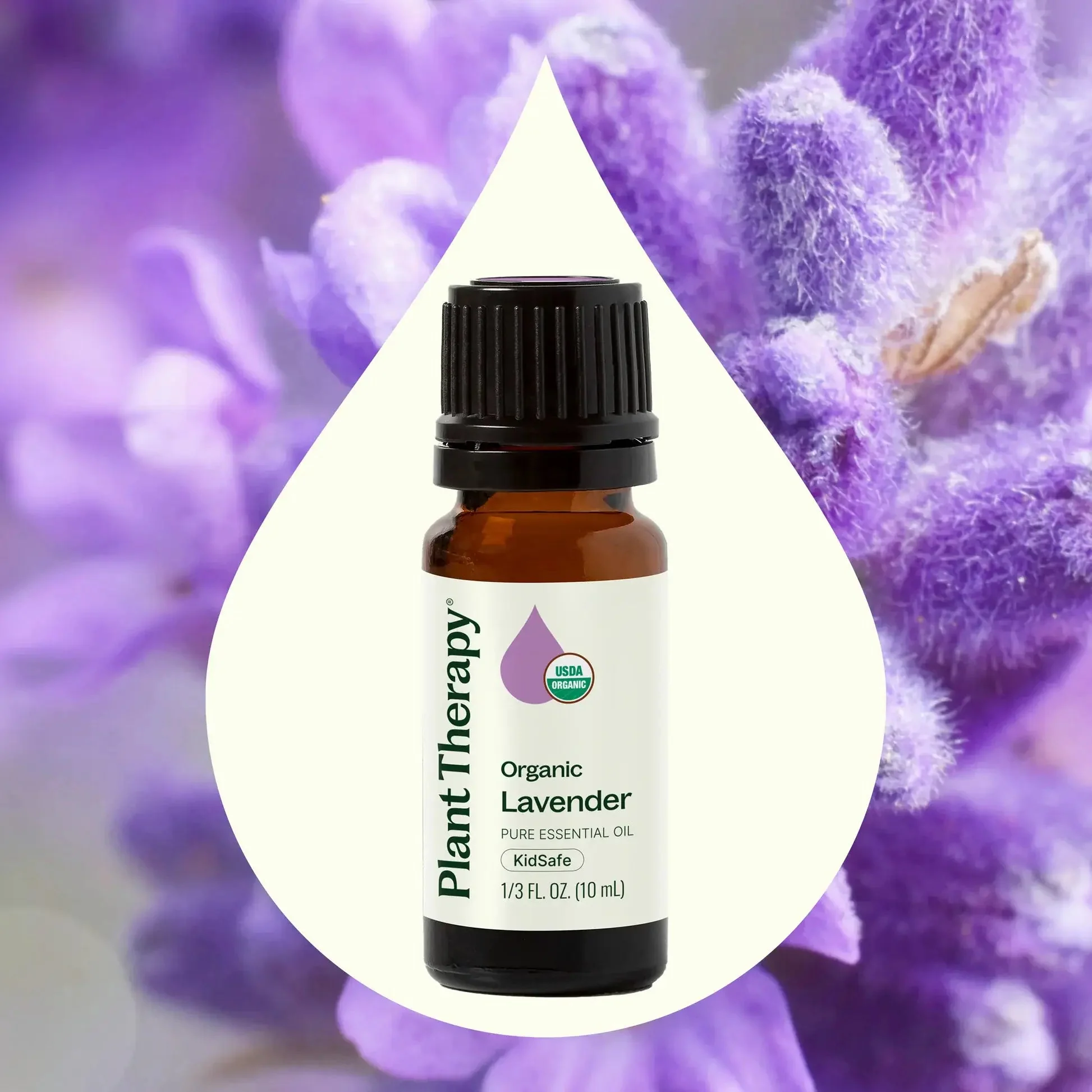 Organic Lavender Essential Oil - Image 3