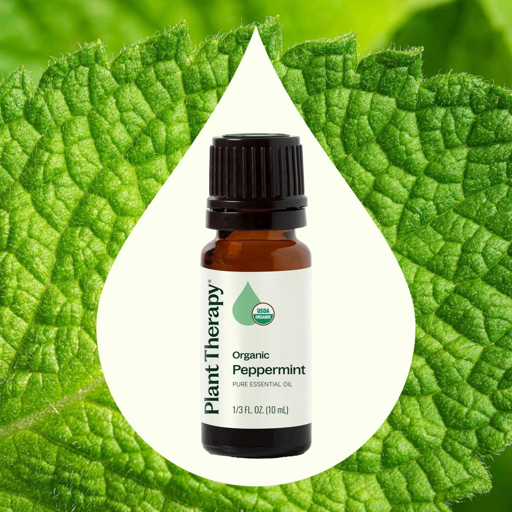 Organic Peppermint Essential Oil - Image 3
