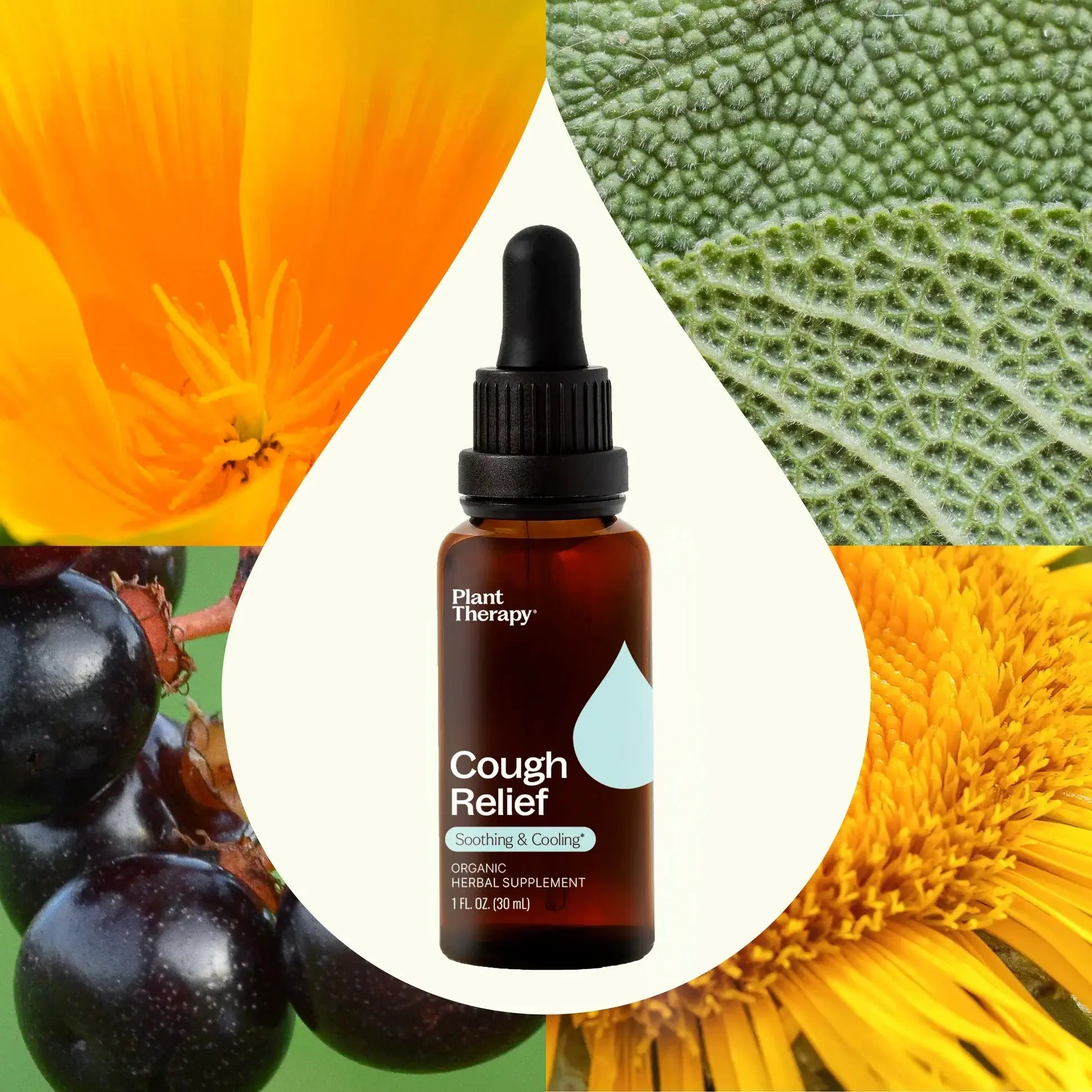 Organic Herbal Cough Relief - Image 5