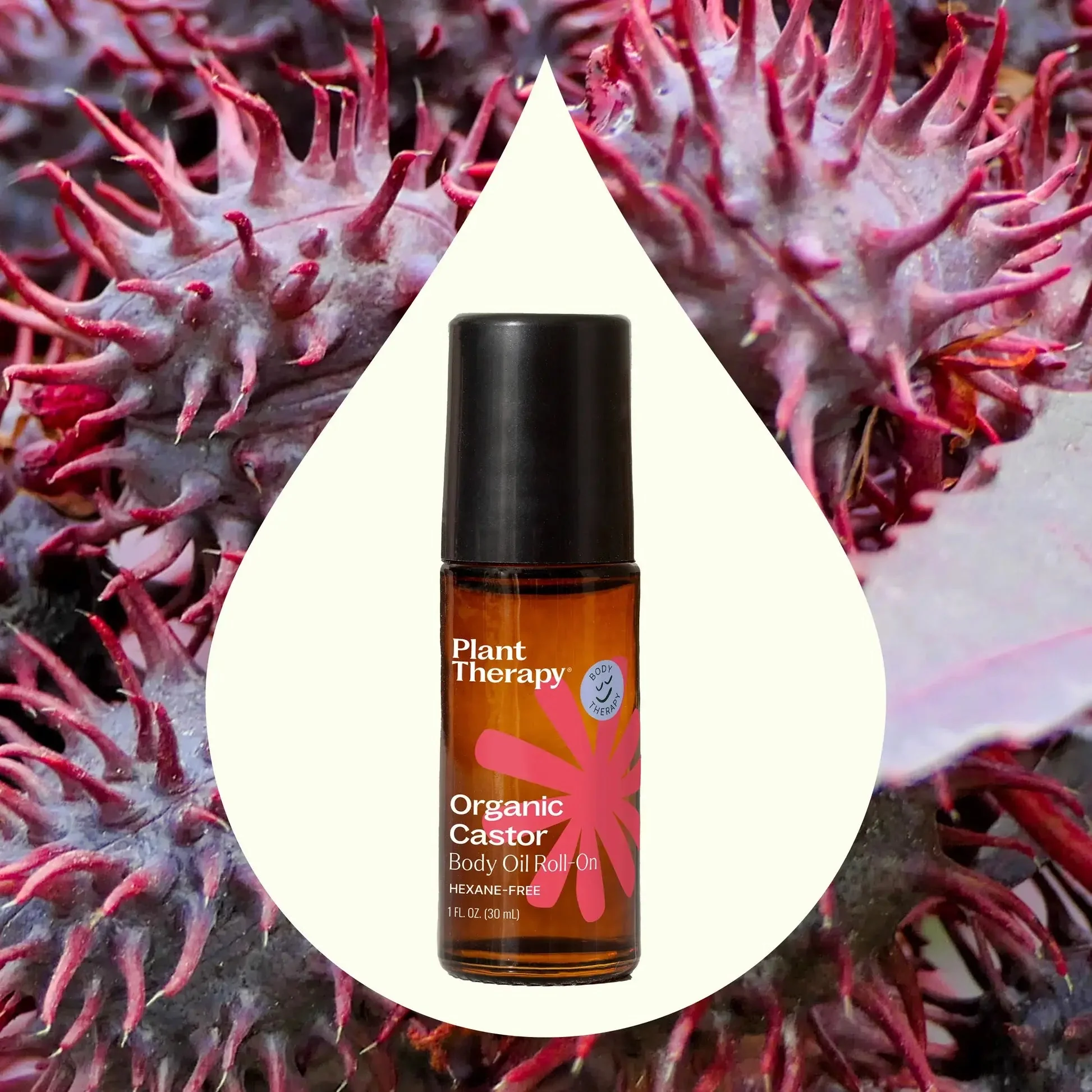 Organic Castor Body Oil Roll-On - Image 4