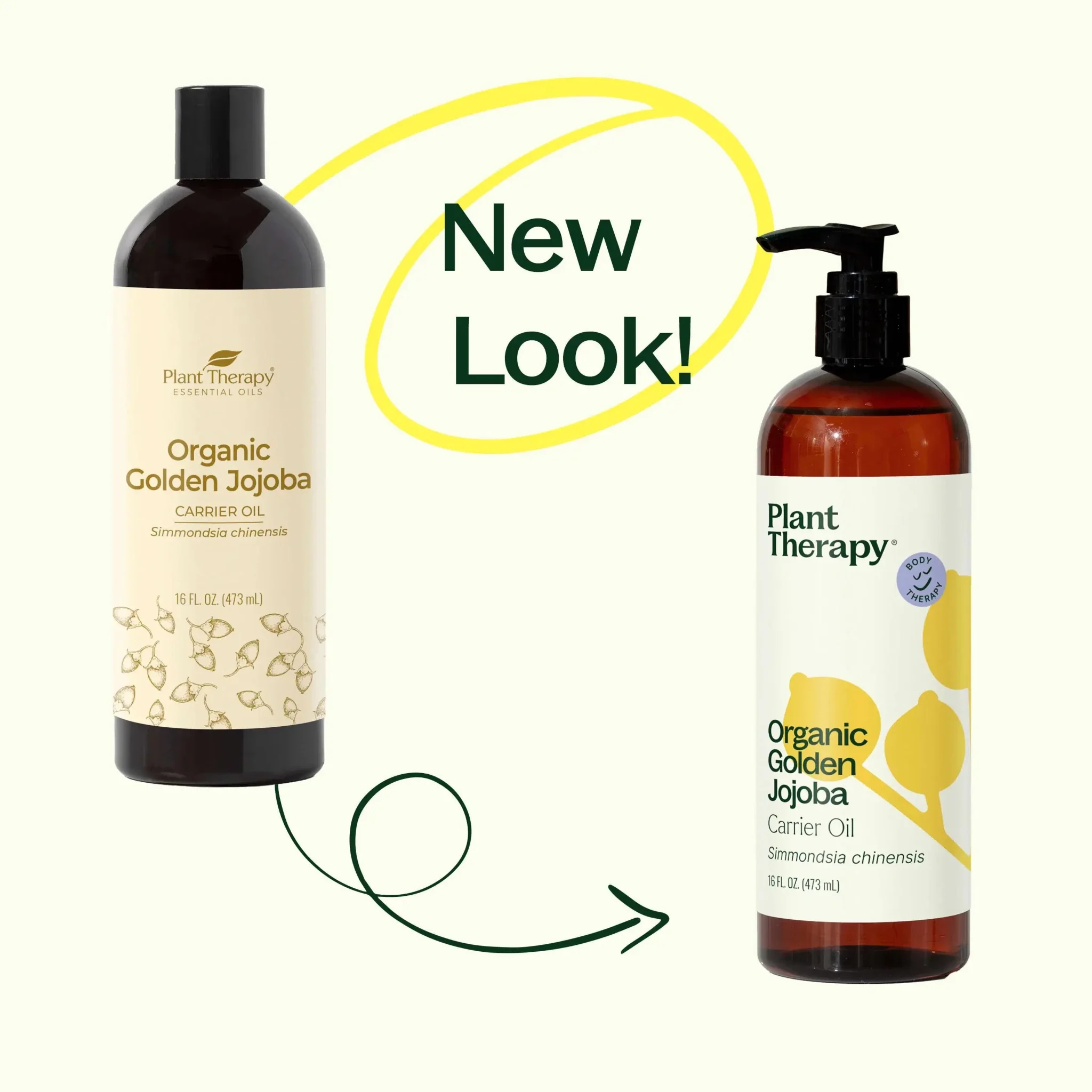 Organic Golden Jojoba Carrier Oil - Image 3
