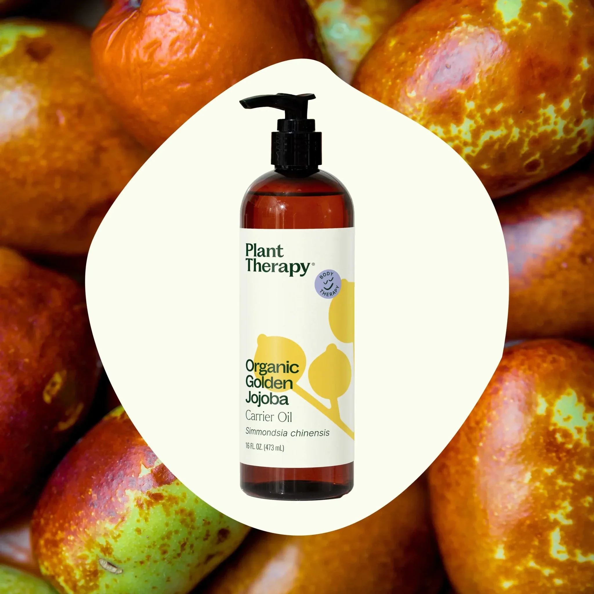Organic Golden Jojoba Carrier Oil - Image 6