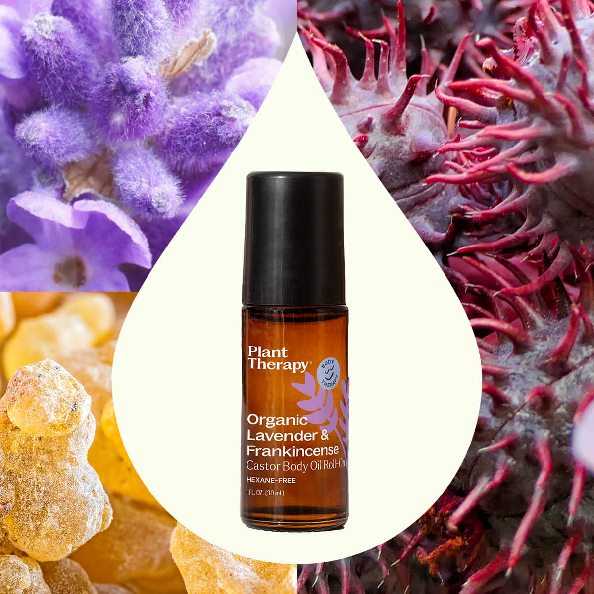 Organic Castor Body Oil Roll-On | Lavender & Frankincense - Image 4