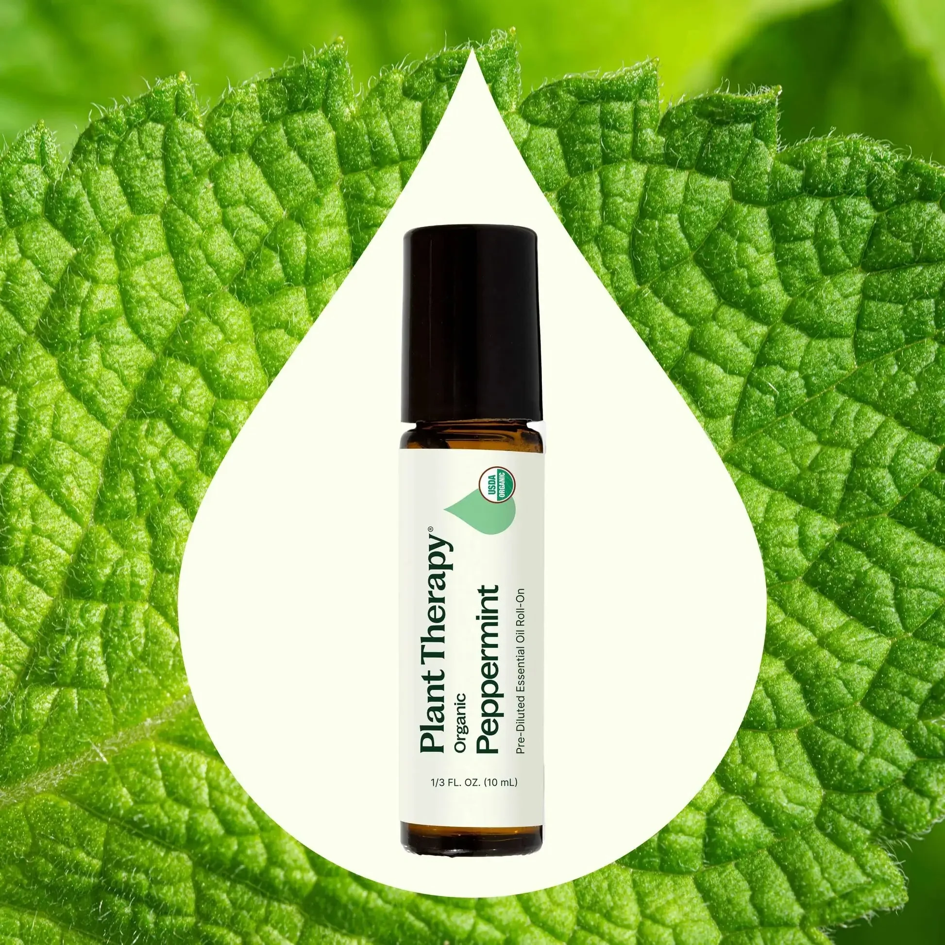 Organic Peppermint Roll On - Image 4