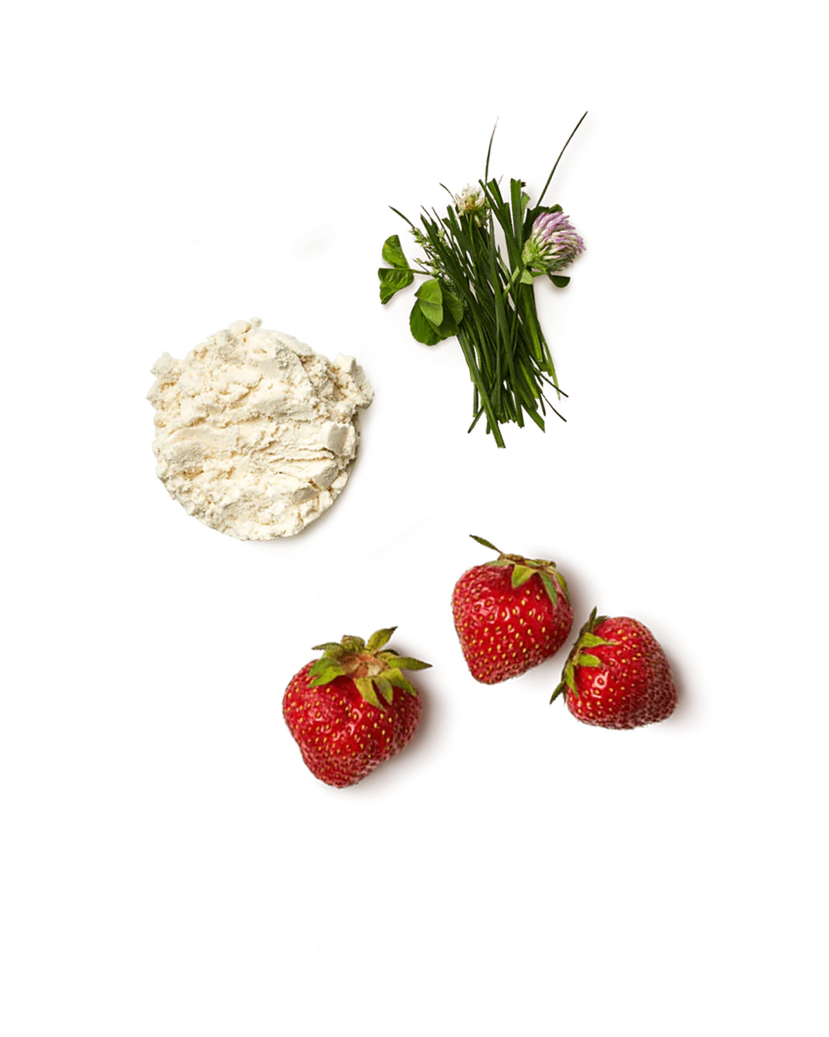 Whey Protein Isolate Powder | Strawberry Milk - Image 3