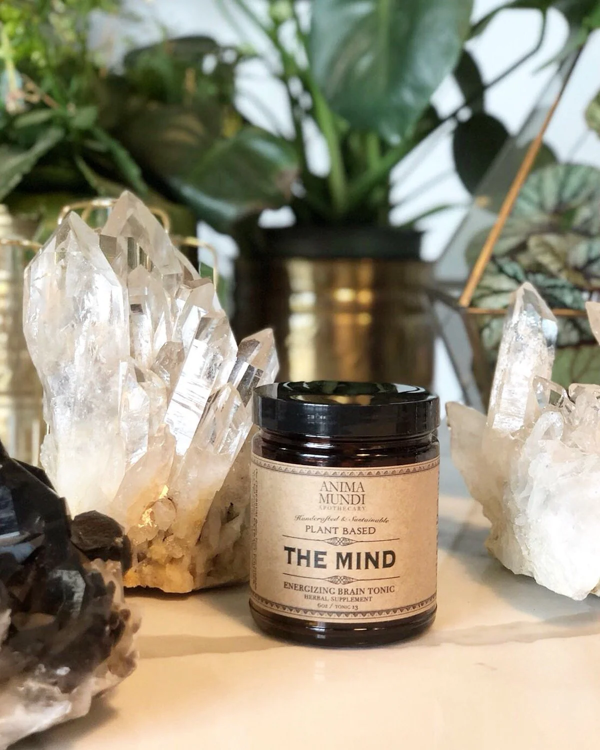 The Mind | Energizing Brain Tonic - Image 4