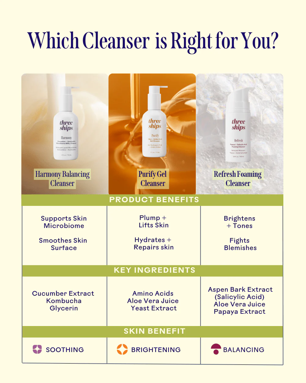 Purify Aloe & Amino Acid Cleanser - Image 7