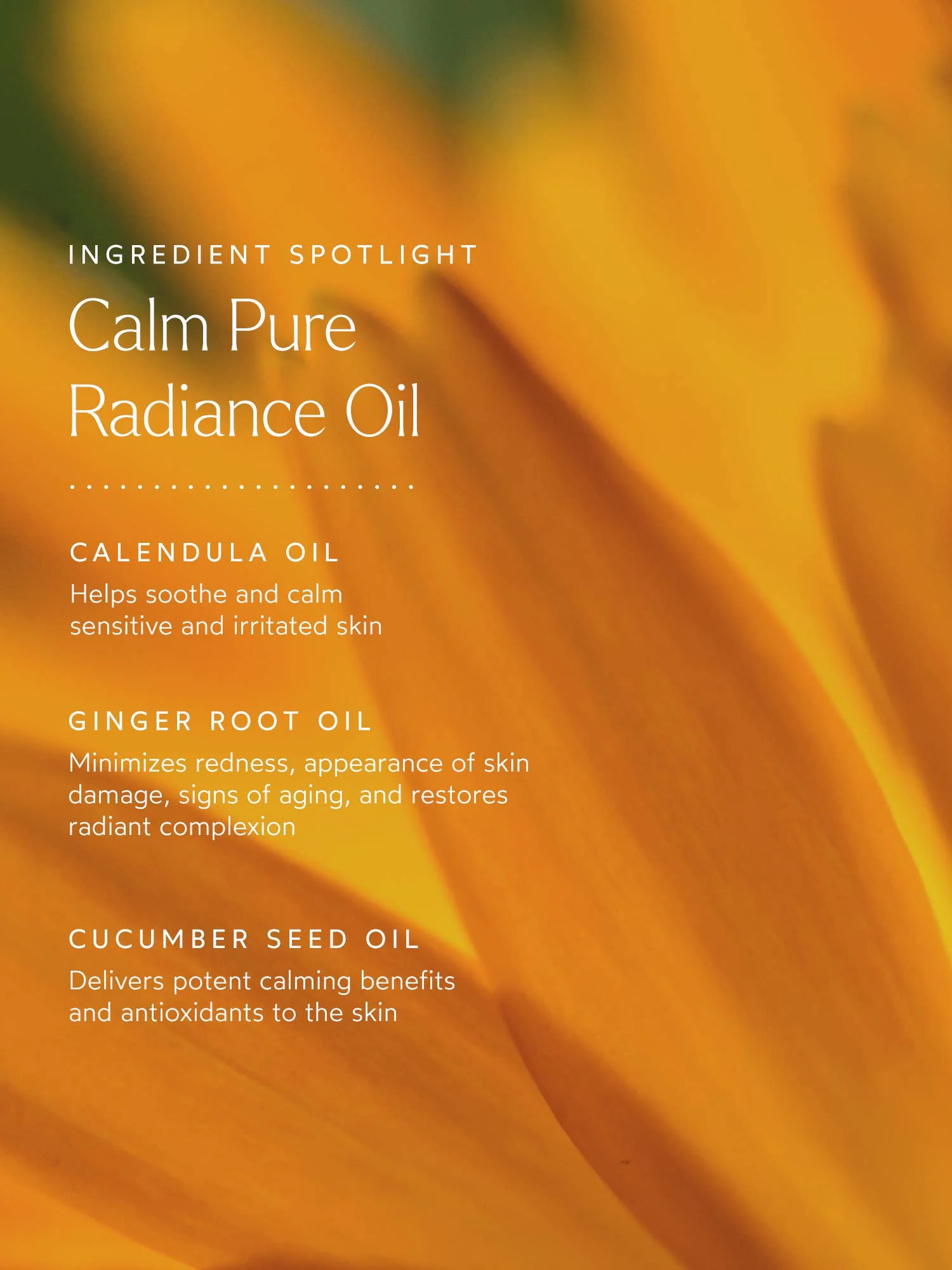 Calm Pure Radiance Oil - Image 4