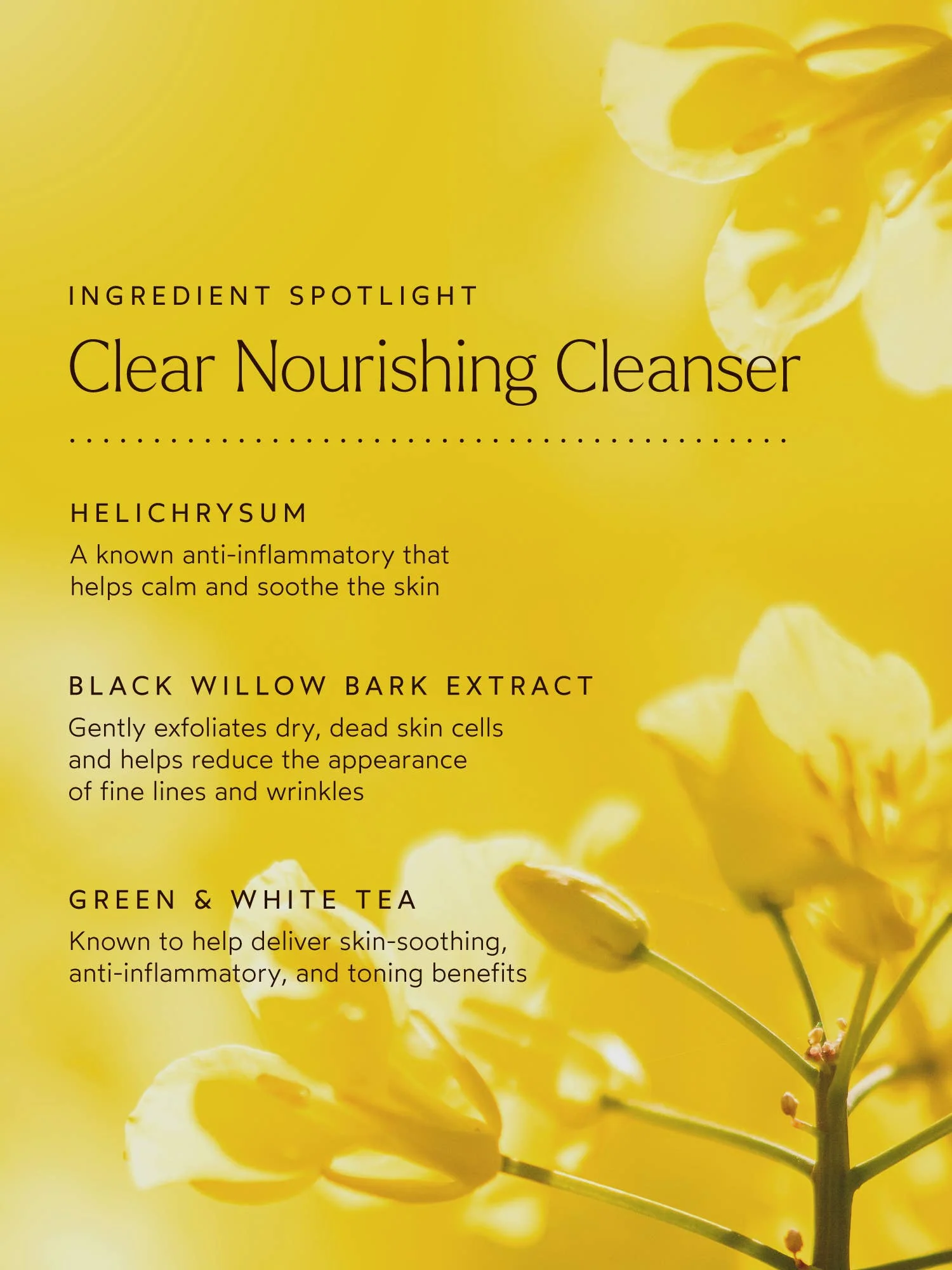 Clear Nourishing Cleanser - Image 3