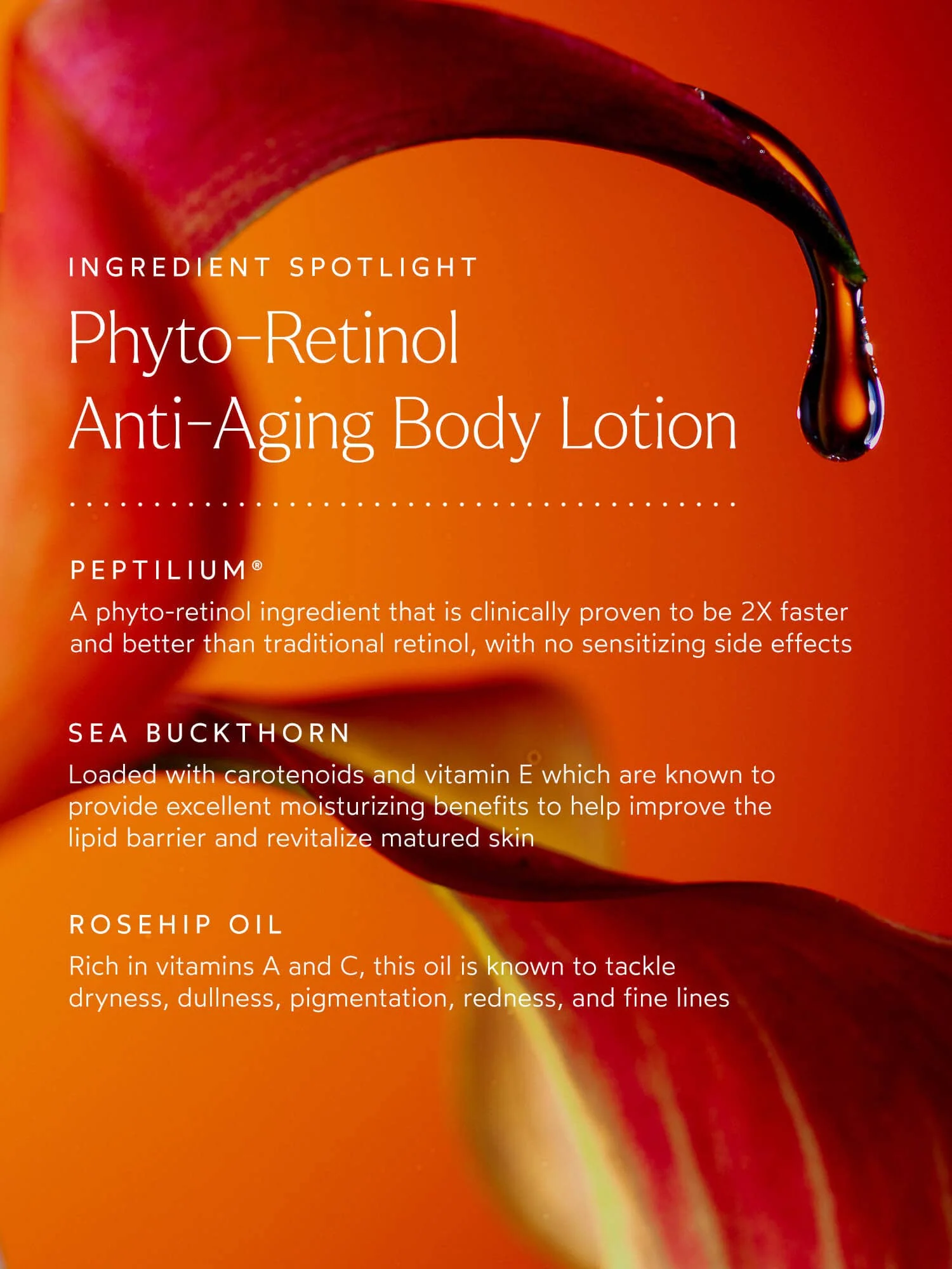 Phyto Retinol Anti-Aging Body Lotion - Image 6