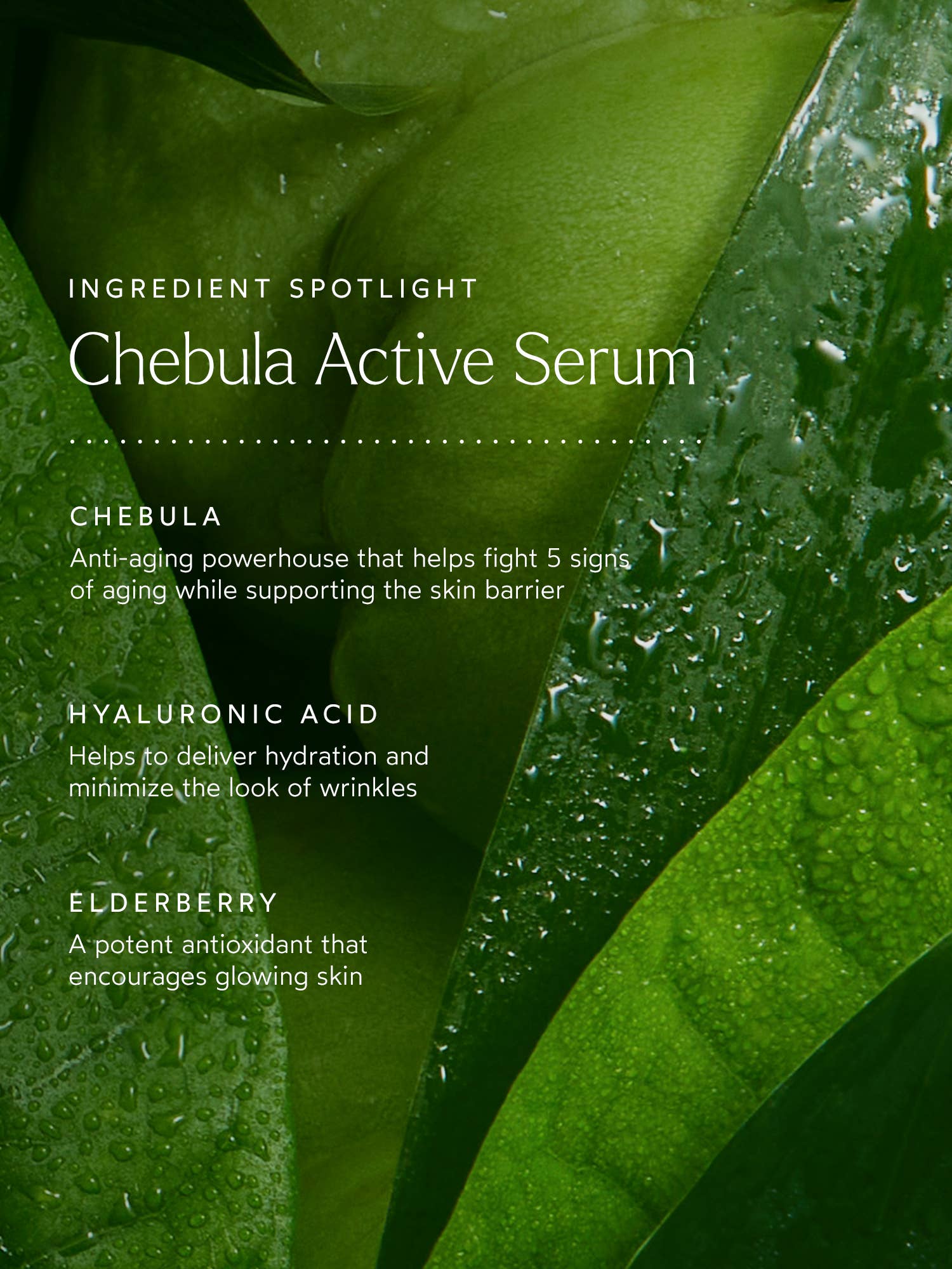 Renew Chebula Active Serum - Image 7