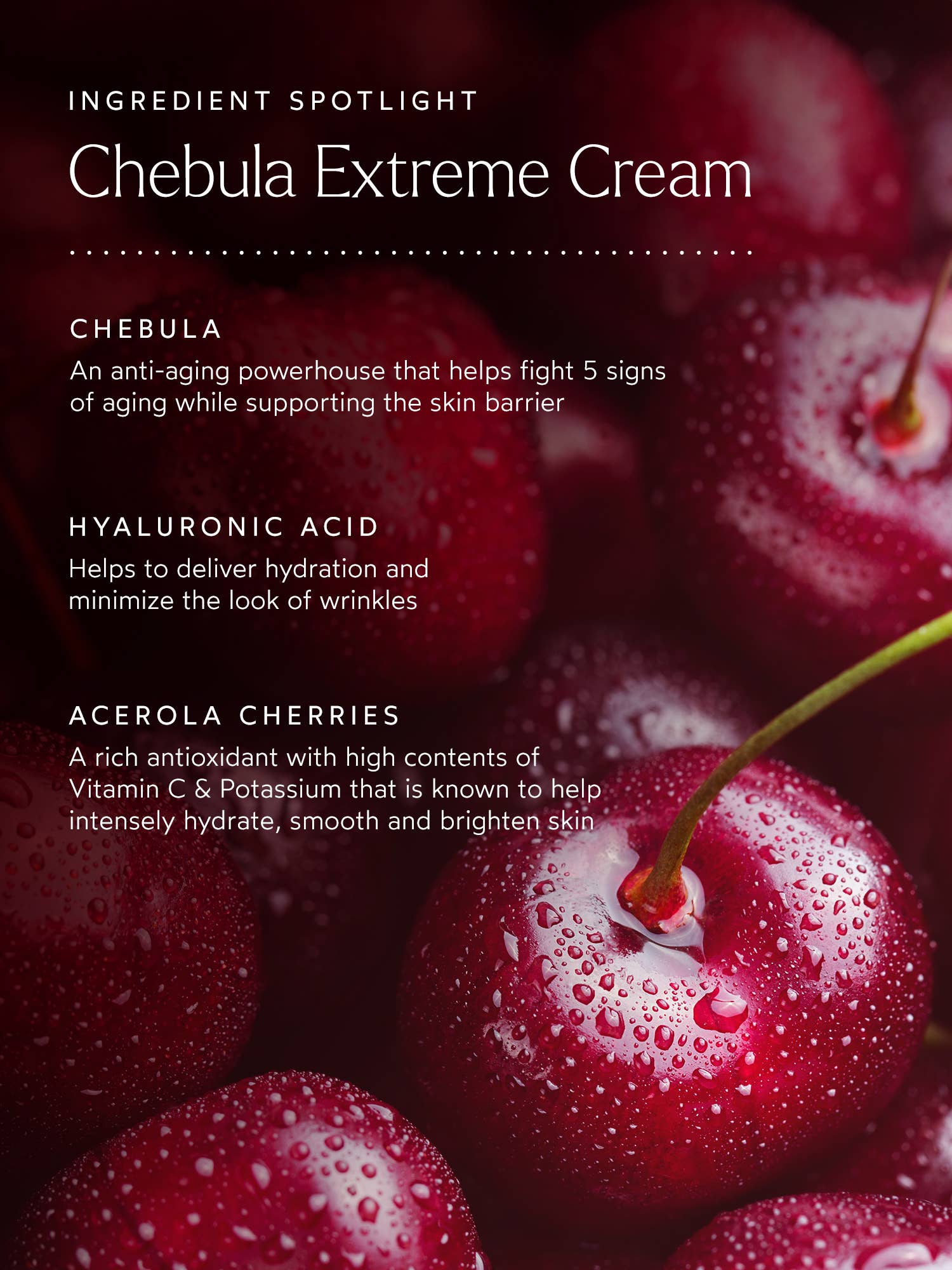 Renew Chebula Extreme Cream - Image 9