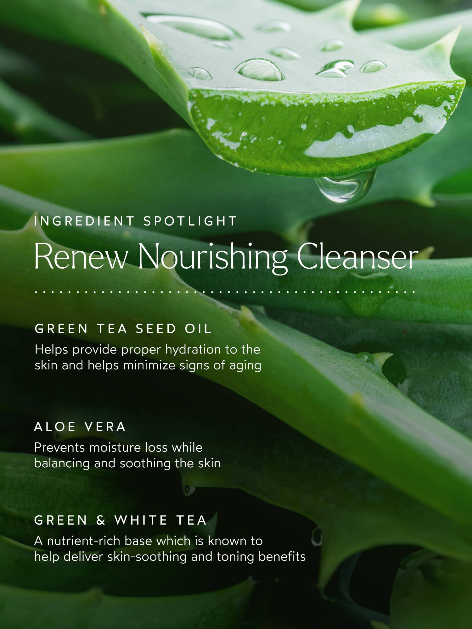 Renew Nourishing Cleanser - Image 6