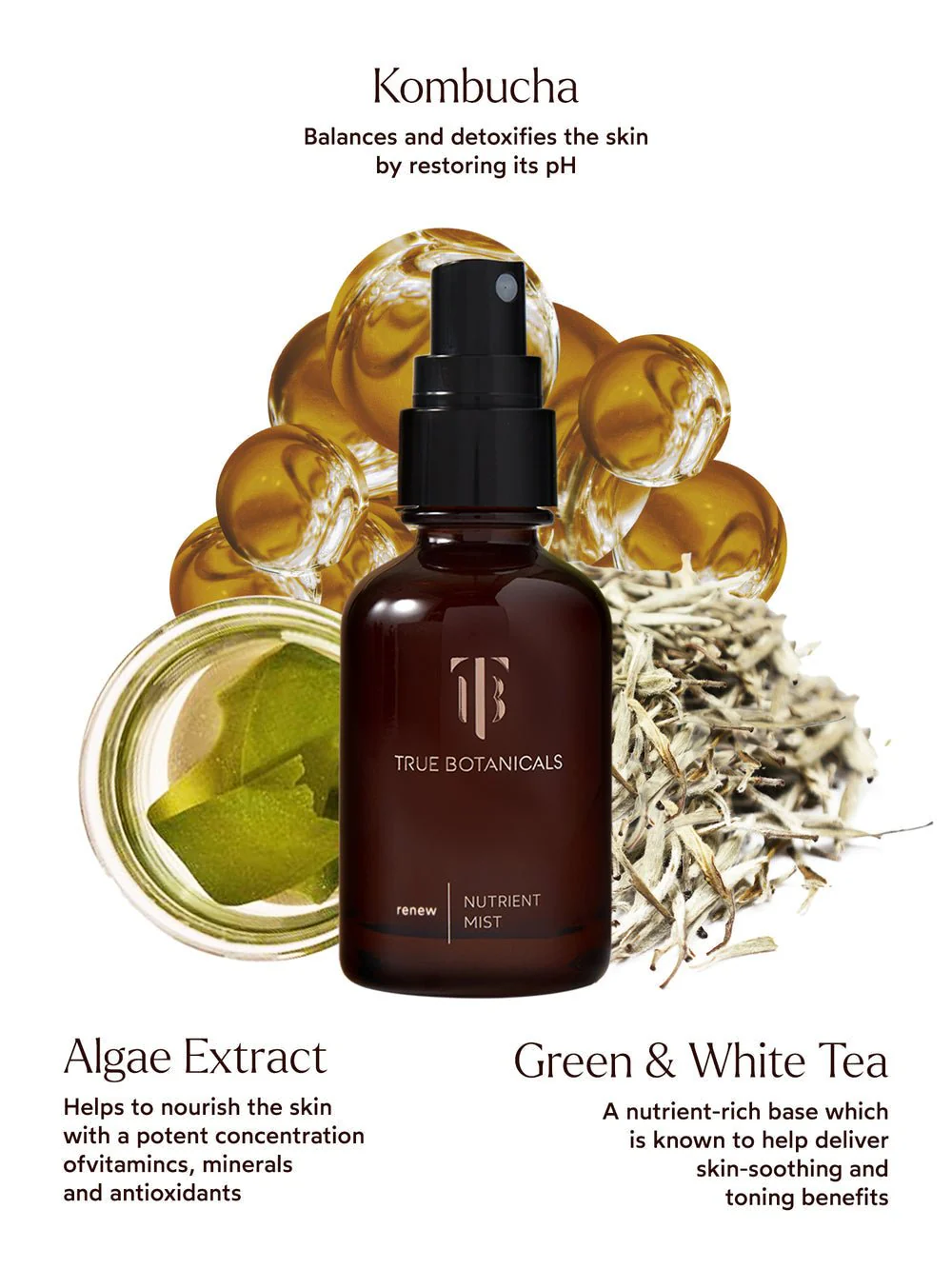 Renew Nutrient Mist - Image 3