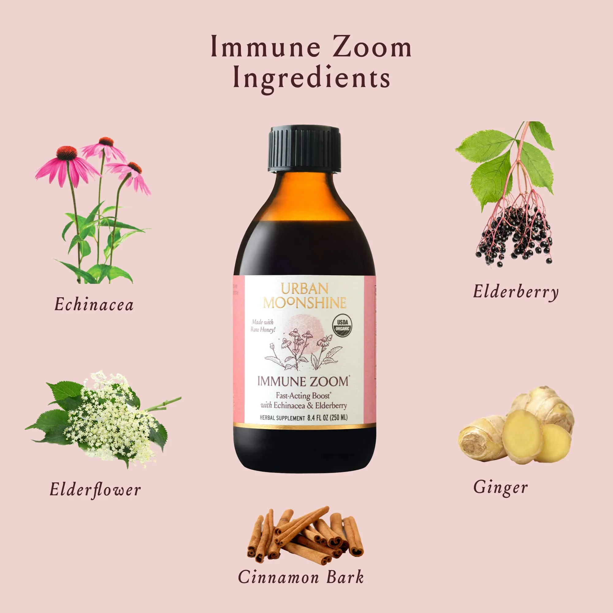 Immune Zoom - Image 5