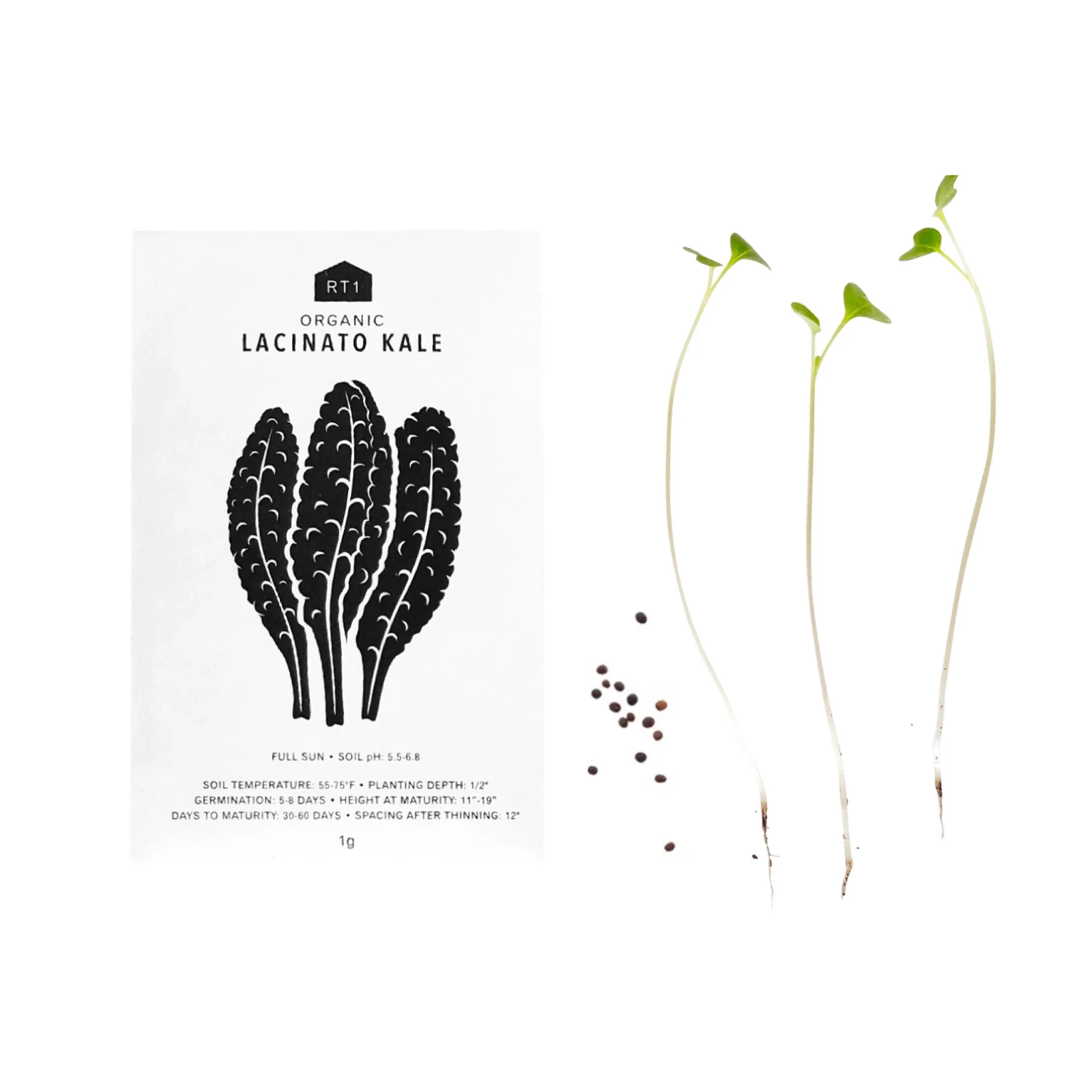 Vegetable Seeds | Pack of 5 - Image 2