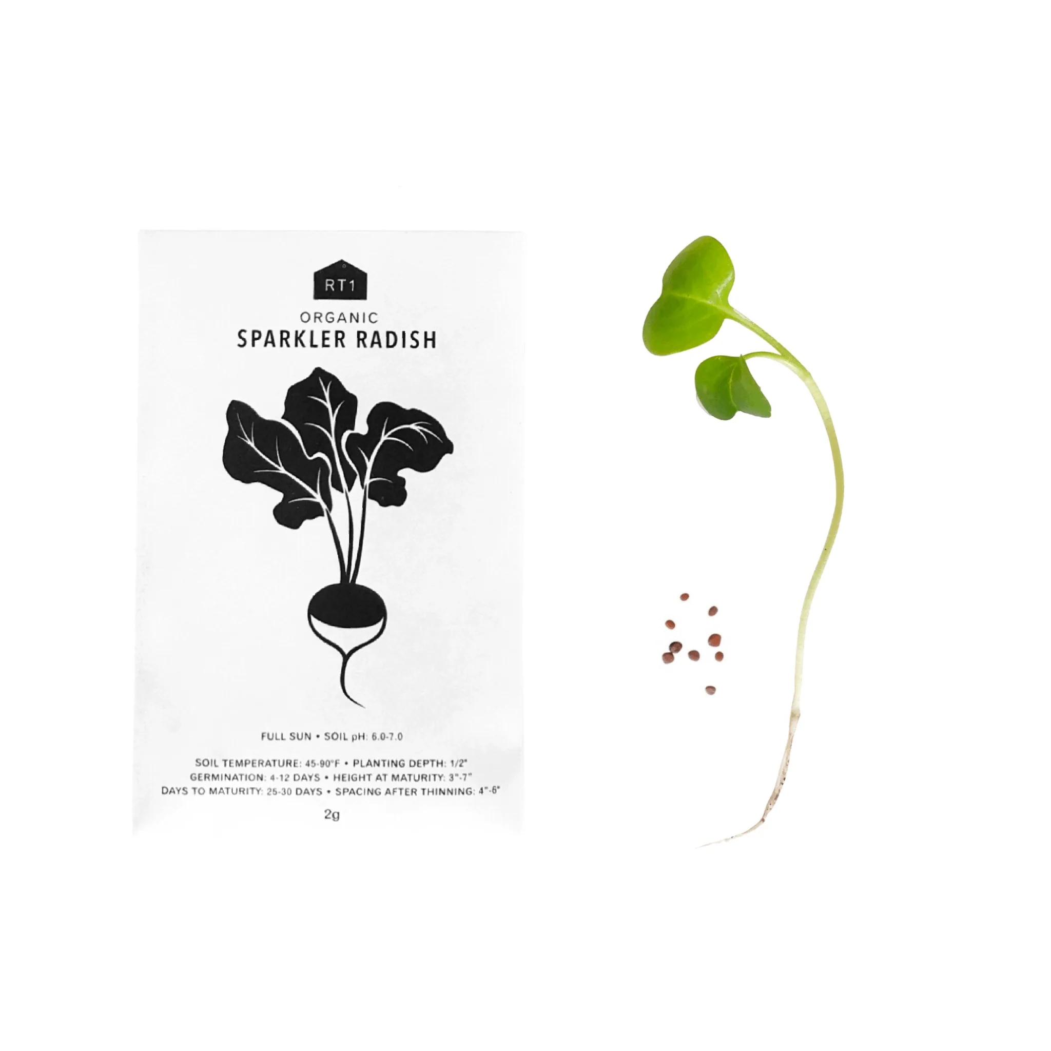 Vegetable Seeds | Pack of 5 - Image 3