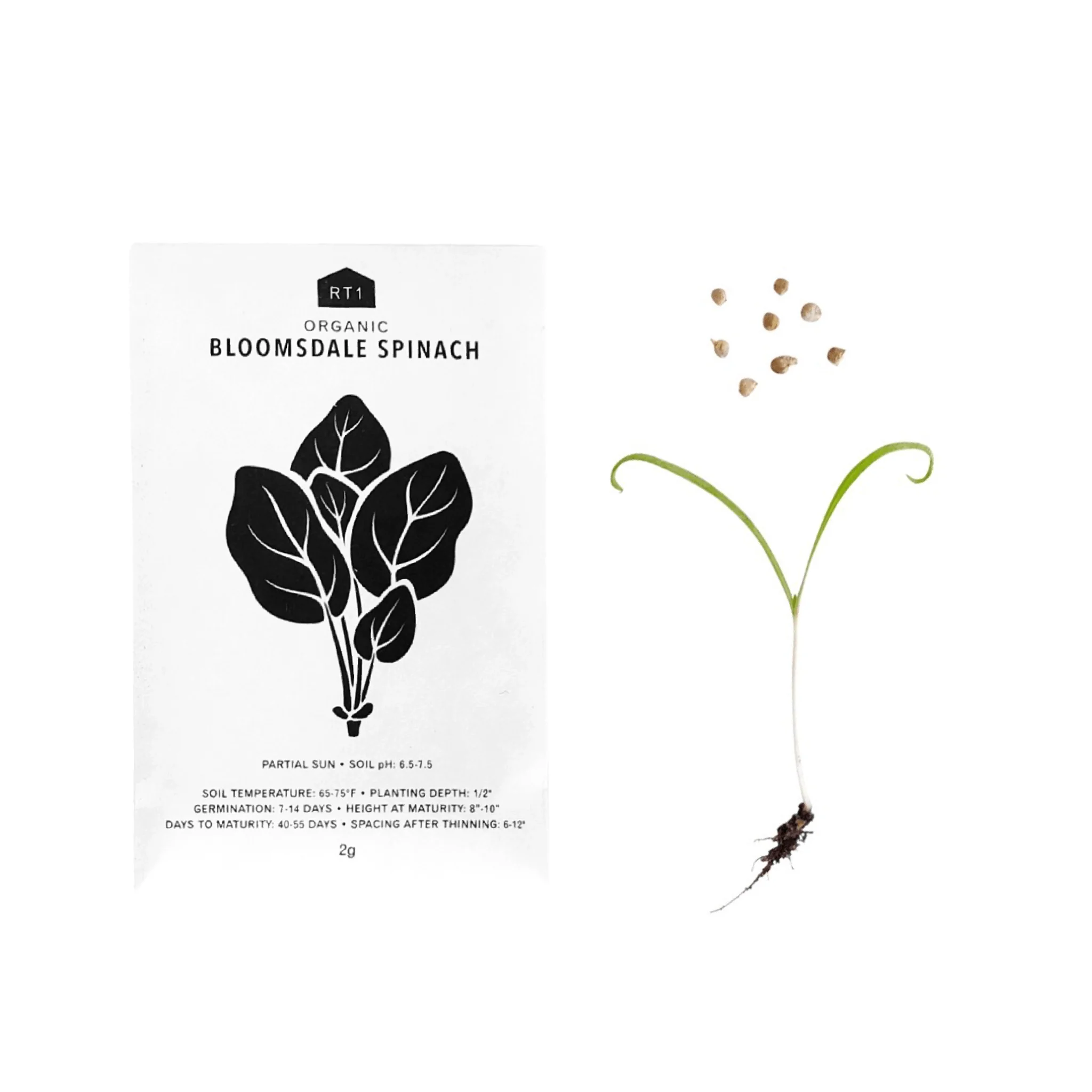 Vegetable Seeds | Pack of 5 - Image 4
