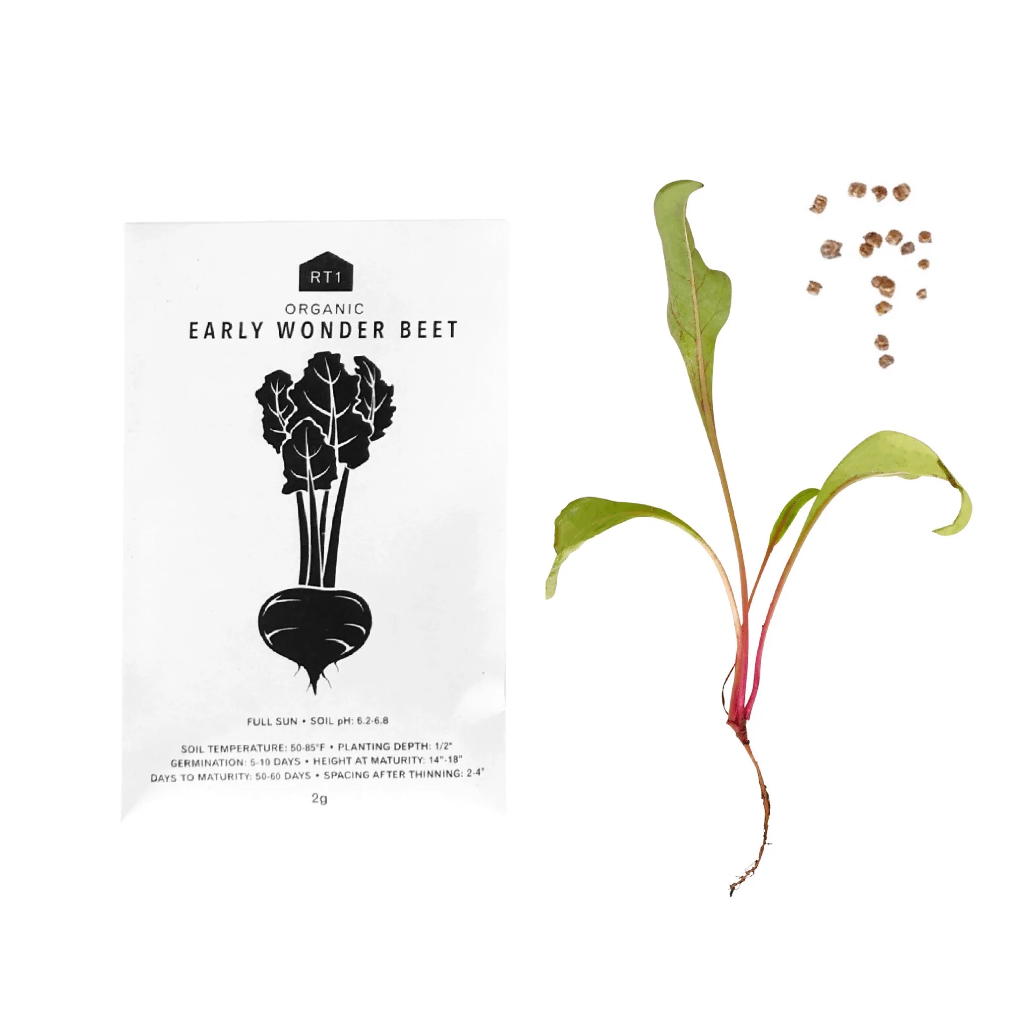 Vegetable Seeds | Pack of 5 - Image 5