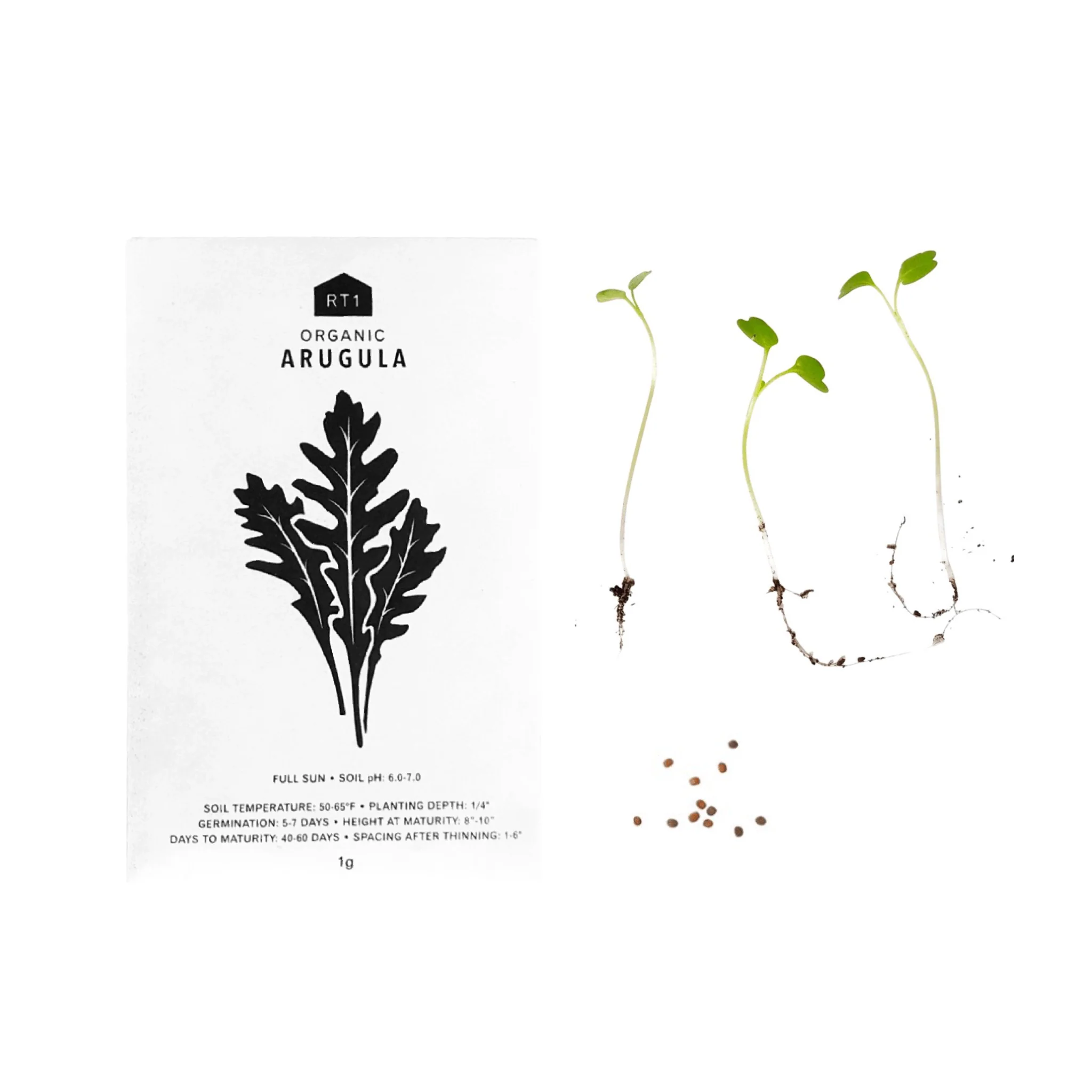 Vegetable Seeds | Pack of 5 - Image 6