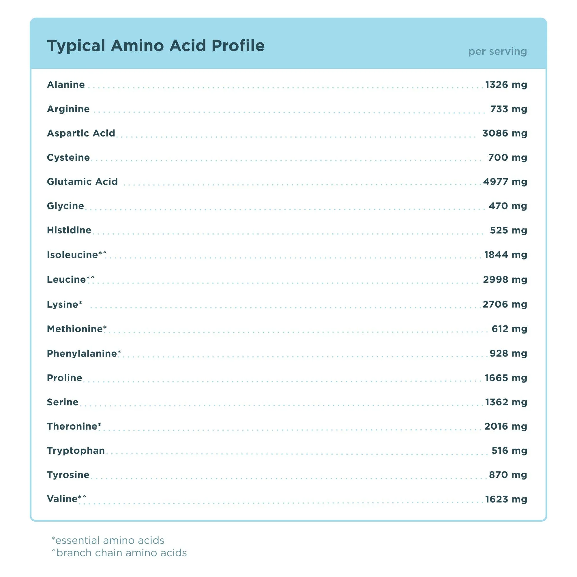 Whey Protein | Chocolate Peanut Butter - Image 10