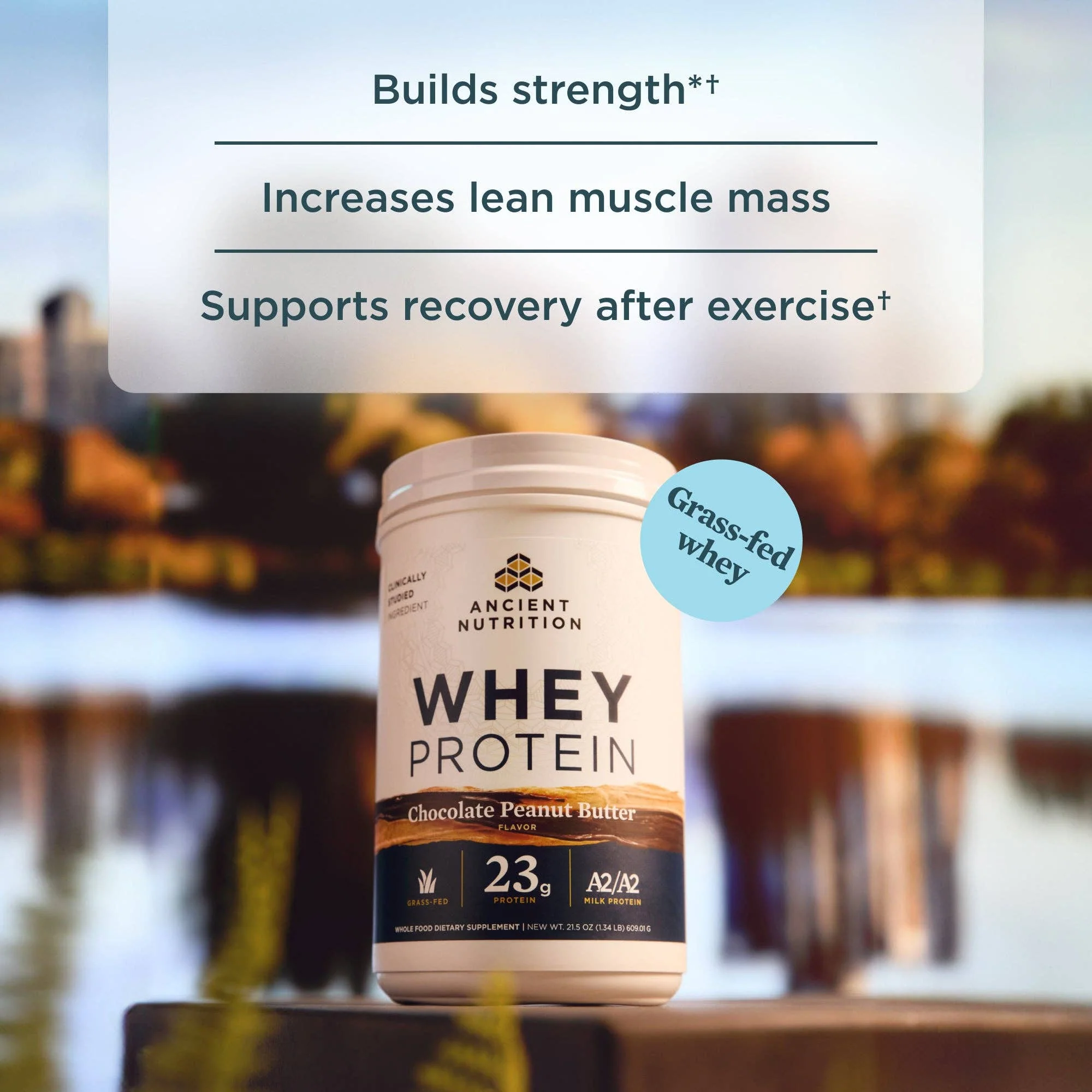 Whey Protein | Chocolate Peanut Butter - Image 3