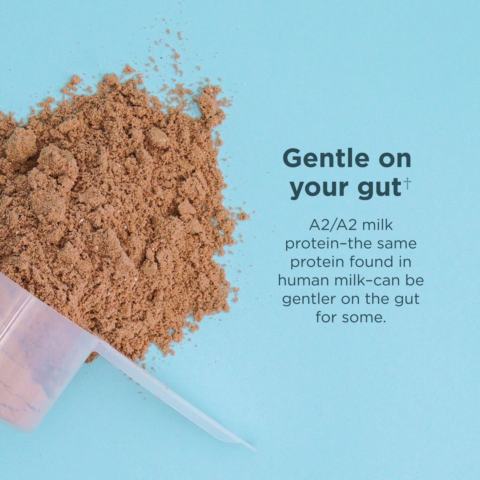 Whey Protein | Chocolate Peanut Butter - Image 7