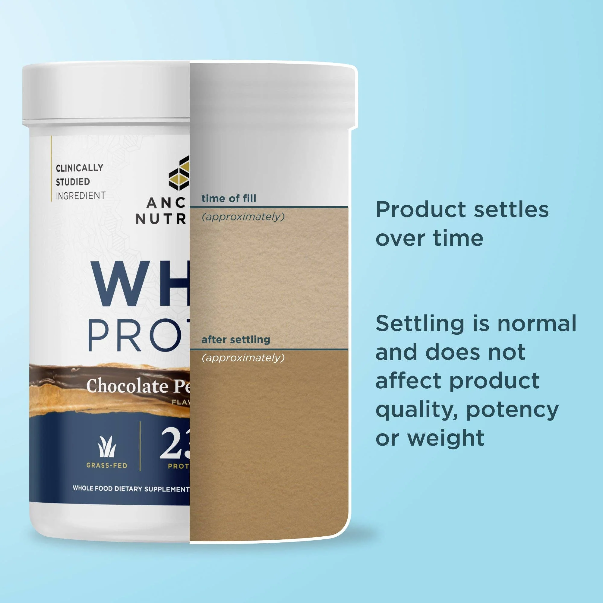 Whey Protein | Chocolate Peanut Butter - Image 9