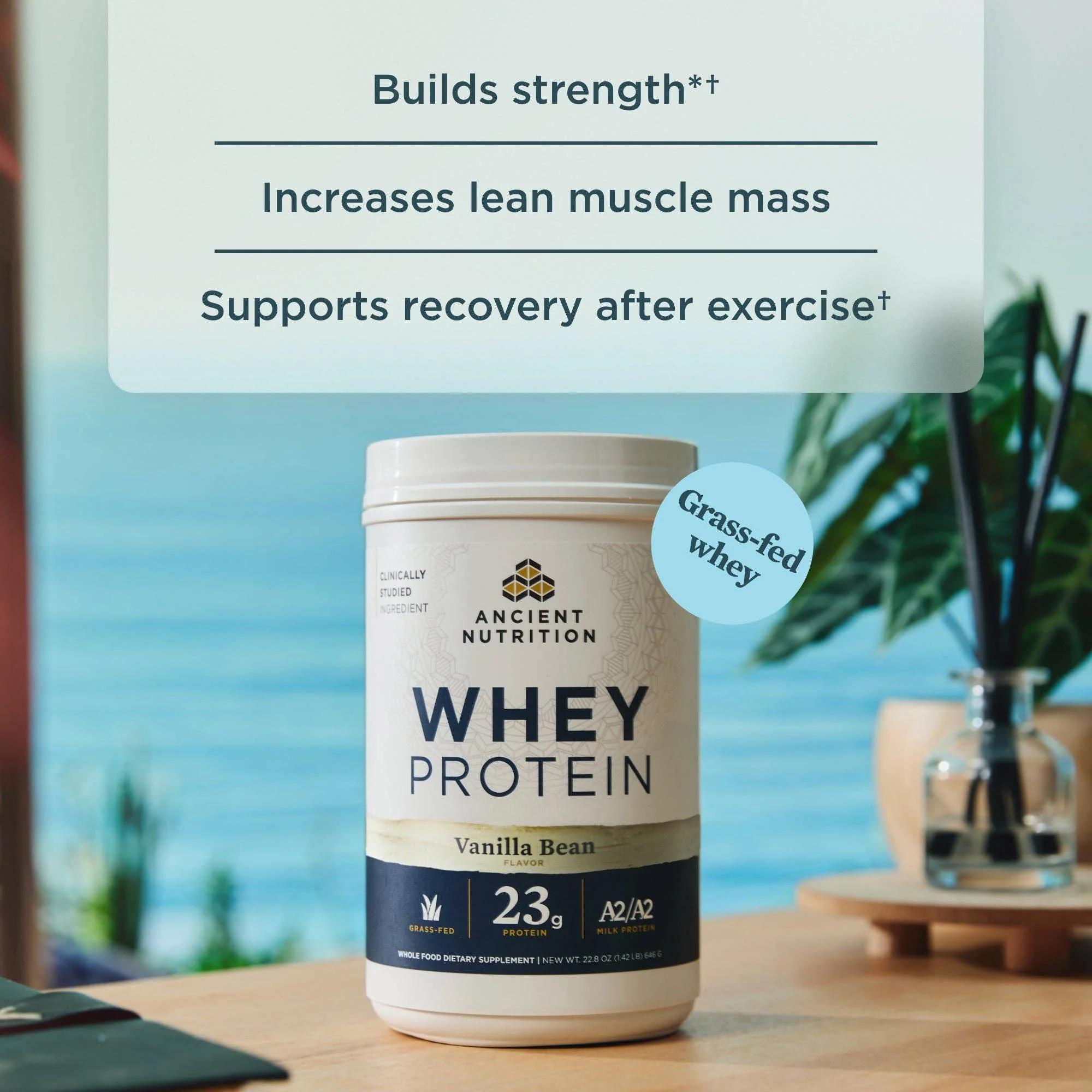 Whey Protein | Vanilla Bean - Image 3