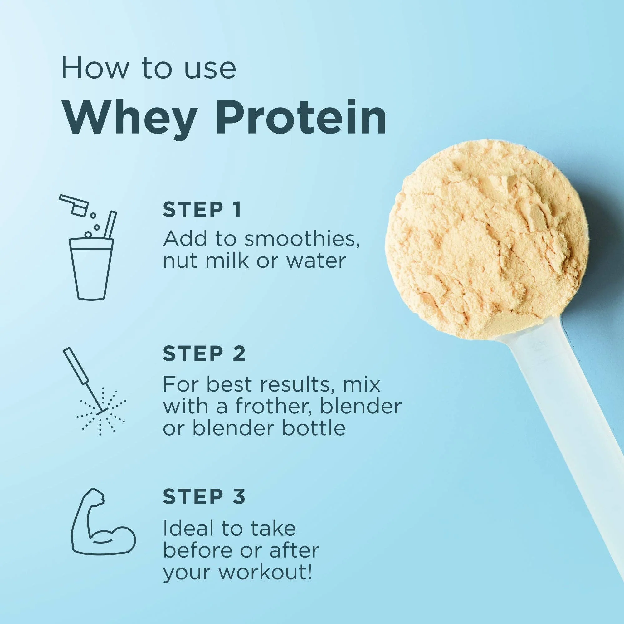 Whey Protein | Vanilla Bean - Image 4