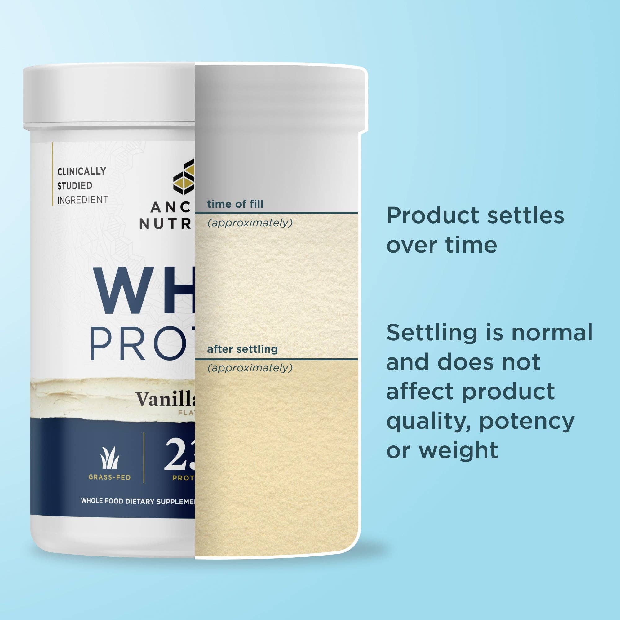 Whey Protein | Vanilla Bean - Image 9
