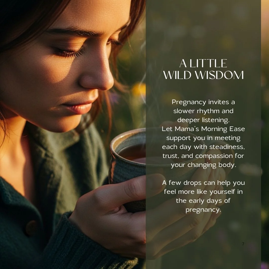 Mama’s Morning Ease | Nausea & Morning Sickness Support - Image 5