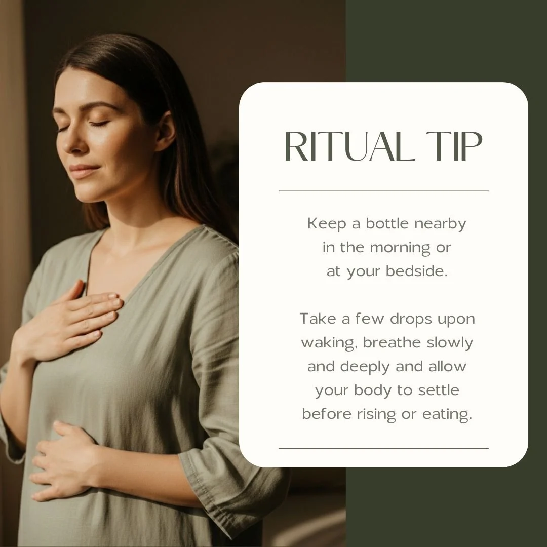Mama’s Morning Ease | Nausea & Morning Sickness Support - Image 6